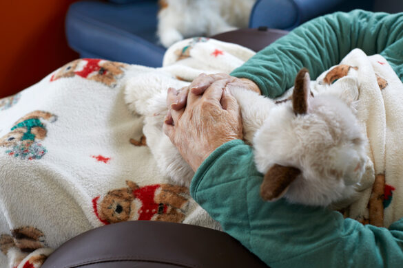 Sandown Nursing Home Gallery